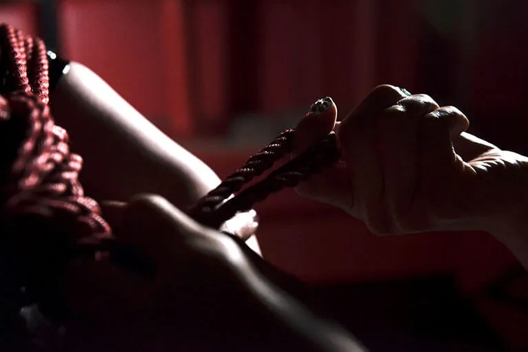 ドミナトリックス・店内写真